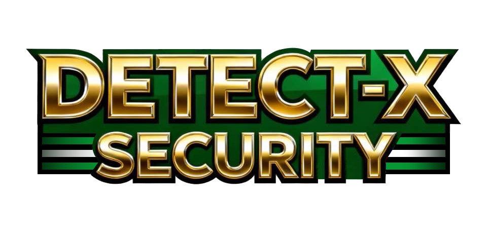 Detect-X-Security Logo